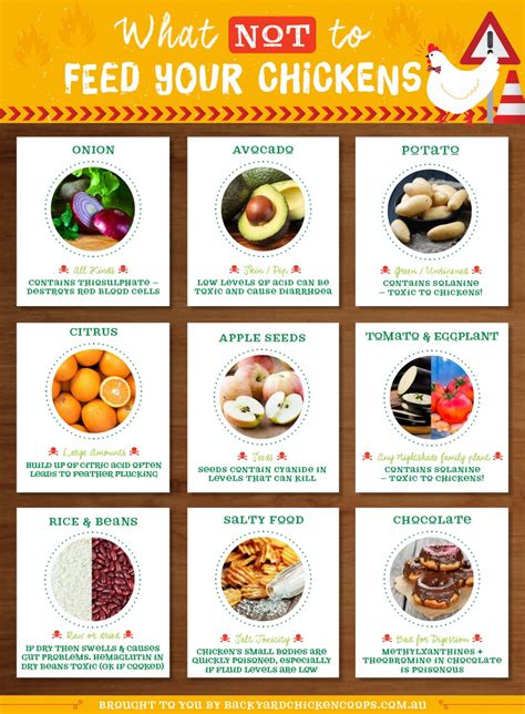 Plants And Foods That Are Poisonous For Chickens.